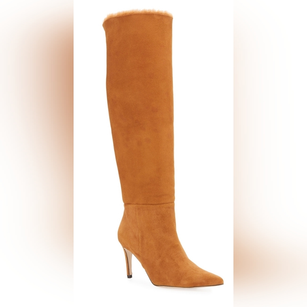 Alexandre Birman 'Eskimo' 85 Suede Knee Boots